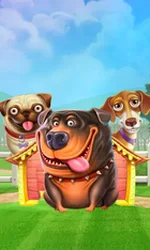 The Dog House